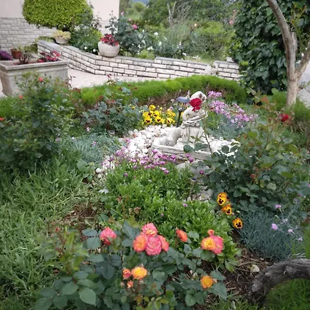 Panorama View Zeljko Scerbe