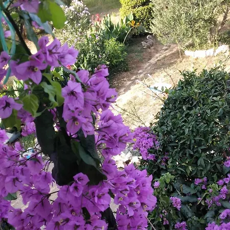 Panorama View Zeljko Scerbe Lejlighed *