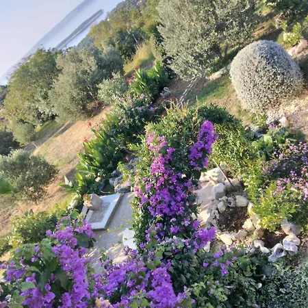 Lejlighed Panorama View Zeljko Scerbe *