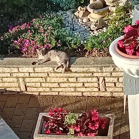 Lejlighed Panorama View Zeljko Scerbe
