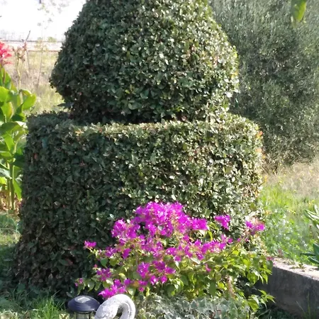 Lejlighed Panorama View Zeljko Scerbe